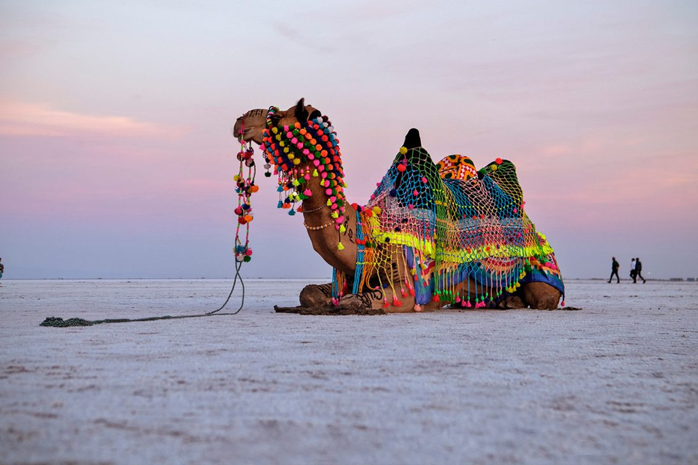 Ahmedabad to Bhuj Taxi